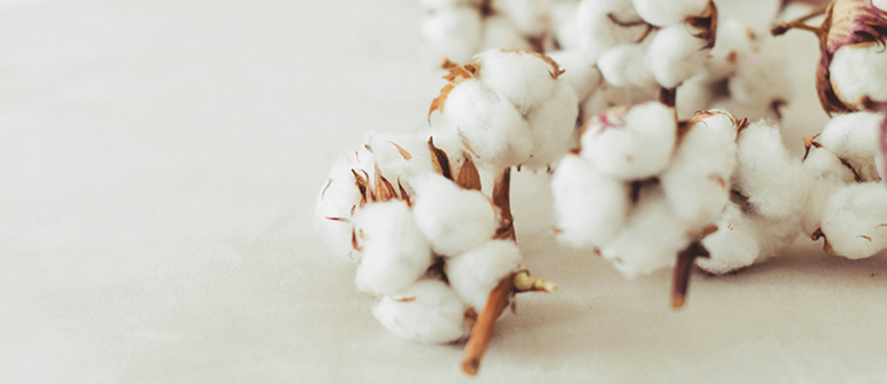 Was ist Baumwolle | Stoff Lexikon