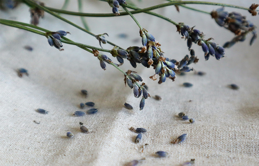 Was ist Leinen? Der natürliche Sommerstoff für kreative Nähideen