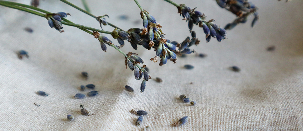 Was ist Leinen | Stoff Lexikon