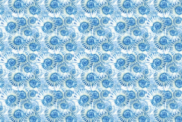Frottee mit Fleece - Seashells 
