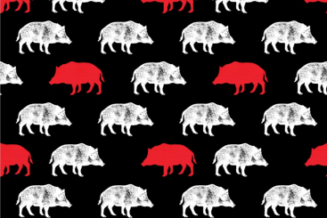 Kuschel-Fleece - Wildschweine 