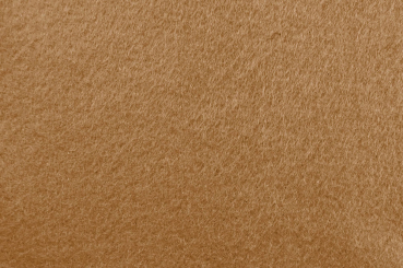 Filz-Stoff 1,5 mm stark - 100 cm Hellbraun