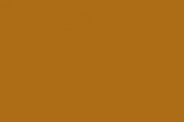 Filz - 90 cm breit Gold