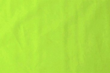 Baumwolle Meterware Lime