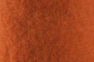 Wollfilz 5/6 mm stark - 65 cm Terra