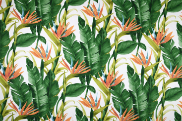 Dekostoff Baumwolle - Jungle Feeling - 280 cm 