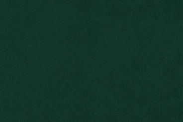 Samt-Stoff - 280 cm Tannengrün