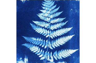 Samt-Panel Deluxe - Blaues Farn 