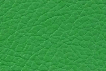 Echtleder - Fresh Colours - Ganze Haut Grass Green