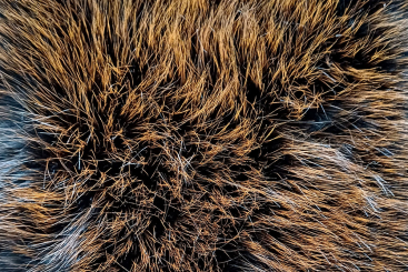 Pelzimitat Grand Deluxe - Originelles Orange 