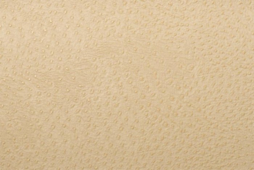 Leder Imitat Baby Strauß - Deluxe Beige