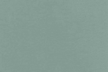 Türvorhangstoff Arktis Dusty Mint