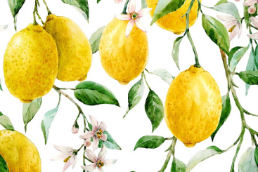 Outdoorstoff Deluxe - Viva la Lemon 