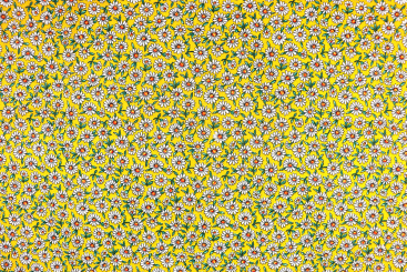Baumwollstoff - Gänseblümchen - Gelb 