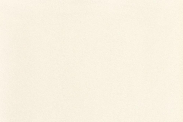 Stretch Leder - Soft Touch Champagner