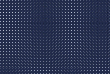 Beschichtete Baumwolle - Kleine Pünktchen Navy