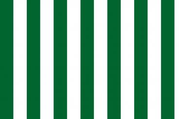 Dekostoff - Blockstreifen 6 cm - Weiß/Grün - 3,0 Meter Weiß/Grün