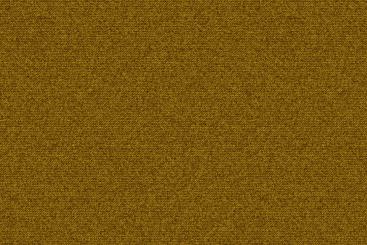 Schwarz-Gelb