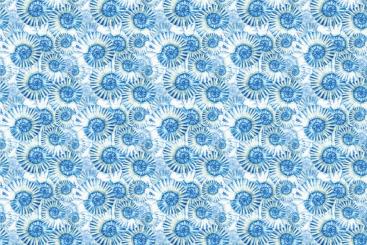 Frottee mit Fleece - Seashells 