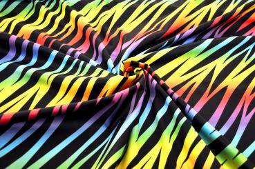 Regenbogen-Zebra
