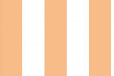 Apricot/Weiß