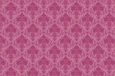 Rosa/Pink