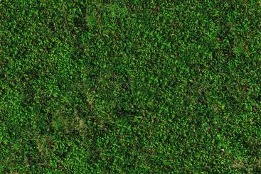 Möbel-Samtstoff - MOOS 