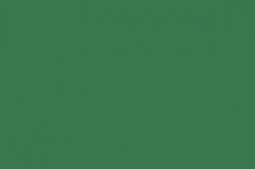 Filz - 90 cm breit Wiese