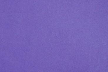 Lavendel