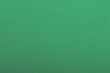 Green Screen