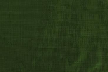 Plane für Holzabdeckungen mit Ösen - 1,5 x 6 m 