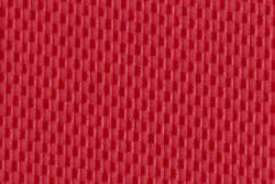 Rot