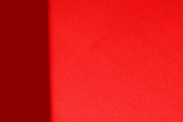 Rot