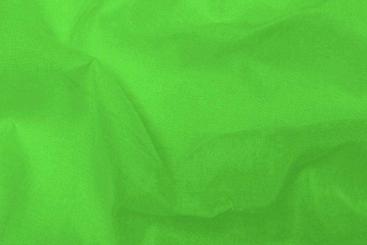 Batist aus Baumwolle Grün