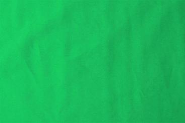 Baumwolle Meterware Apfelgrün