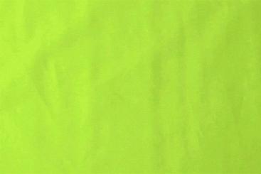 Baumwolle Meterware Lime