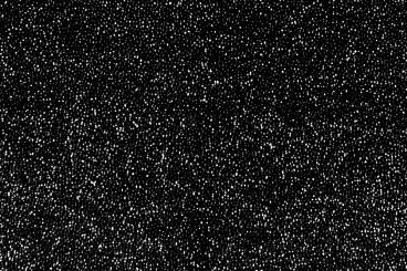 Pannesamt Deluxe - Glitzer - Schwarz 