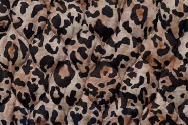 Steppstoff Velours - Leo-Love 