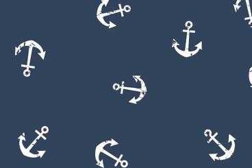 Double Gauze - Anchor - Navy 