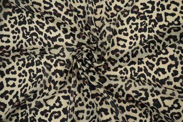 Chiffon - Desert Leo 