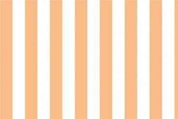 Apricot/Weiß 