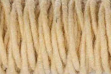 Hellbeige