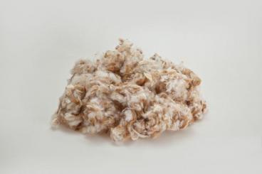 Beige Melange