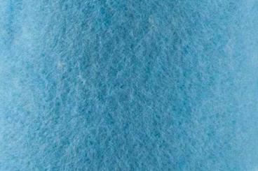 Hellblau