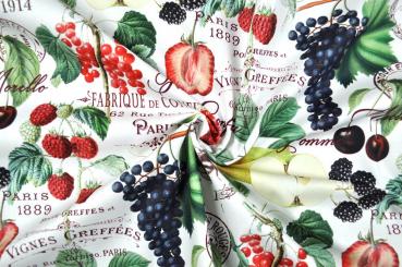 Baumwollstoff - Dans le Jardin 