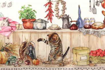 Baumwoll-Dekostoff Digitaldruck - Kätzchen im Glück 