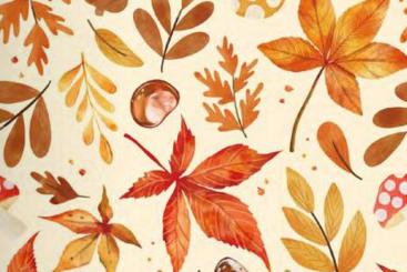 Baumwollstoff - Autumn Feeling 