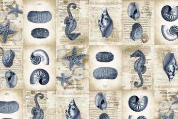 Deko-Stoff - Maritimes Feeling - 280 cm 