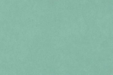 Samt-Stoff - 280 cm Salbei