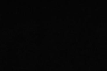 Samt-Stoff - 280 cm Schwarz